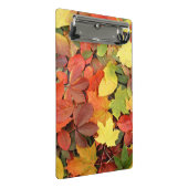 Colorful Background of Fallen Autumn Leaves Mini Klembord (Schuin)