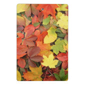 Colorful Background of Fallen Autumn Leaves Mini Klembord (Achterkant)