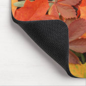 Colorful Background of Fallen Autumn Leaves Muismat (Hoek)