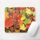 Colorful Background of Fallen Autumn Leaves Muismat (Met muis)
