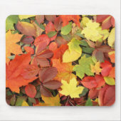 Colorful Background of Fallen Autumn Leaves Muismat (Voorkant)