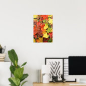 Colorful Background of Fallen Autumn Leaves Poster (Thuiskantoor)