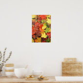 Colorful Background of Fallen Autumn Leaves Poster (Keuken)