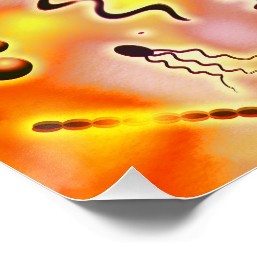 Colorful Bacteria Poster (Hoek)