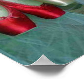 Colorful Ballet Shoes Poster (Hoek)