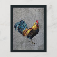 Colorful Bantam Rooster