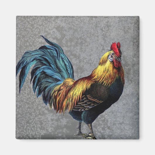Colorful Bantam Rooster Magneet (Voorkant)