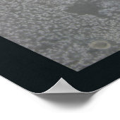 Colorful Bantam Rooster Poster (Hoek)