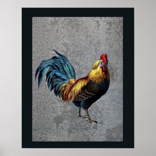 Colorful Bantam Rooster Poster (Voorkant)