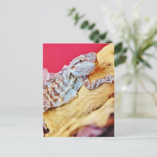Colorful Bearded Dragon Briefkaart (Staand voorkant)