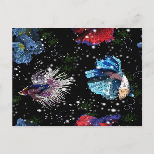Colorful Betta Fish Briefkaart (Voorkant)