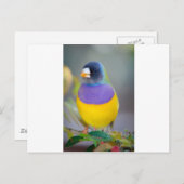 Colorful Bird Briefkaart (Voorkant / Achterkant)