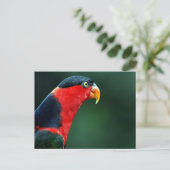 Colorful Bird Briefkaart (Staand voorkant)