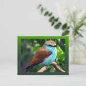 Colorful Bird Briefkaart (Staand voorkant)