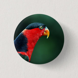 Colorful Bird Button