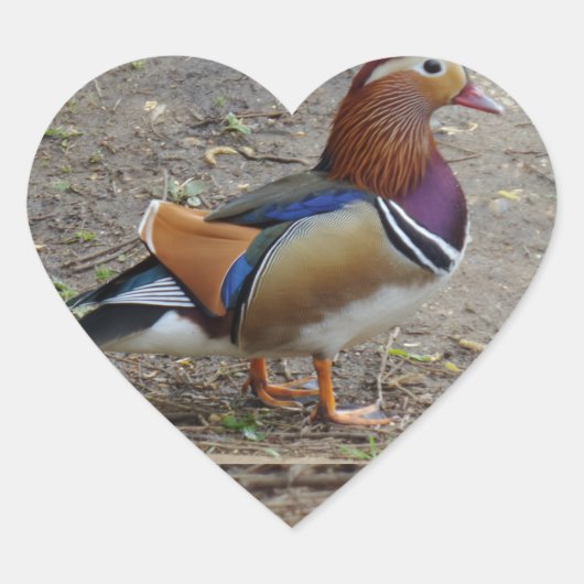 Colorful Bird Heart Sticker (Voorkant)
