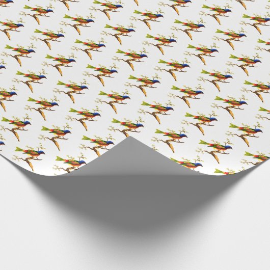 Colorful  Bird Illustration Pattern Cadeaupapier (Hoek)