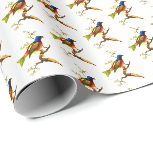 Colorful  Bird Illustration Pattern Cadeaupapier (Rol Hoek)