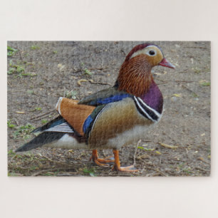 Colorful Bird Jigzaag Puzzle Legpuzzel