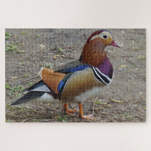 Colorful Bird Jigzaag Puzzle Legpuzzel (Horizontaal)