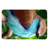 Colorful Bird Magneet (Horizontaal)