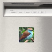 Colorful Bird Magneet (Insitu (Vaatwasser))
