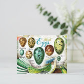 Colorful Birds Eggs Briefkaart (Staand voorkant)