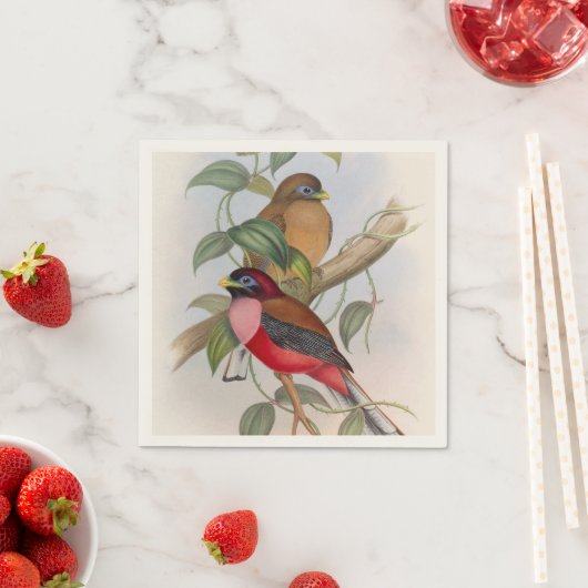 Colorful  Birds Illustration Paper Napkin Servet (Insitu)