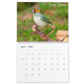 Colorful Birds of Colombia Kalender (Mar 2026)