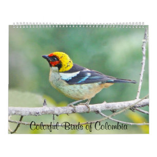 Colorful Birds of Colombia Kalender