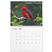 Colorful Birds of Colombia Kalender (Feb 2026)