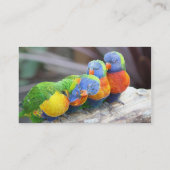 COLORFUL BIRDS VISITEKAARTJE (Achterkant)