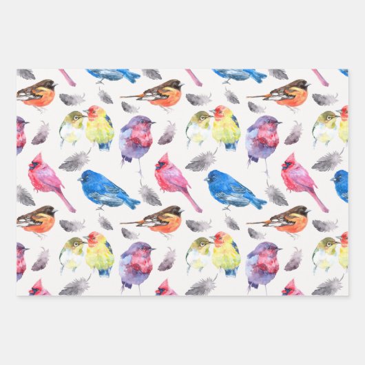Colorful Birds Wrapping Paper Set (Voorkant)