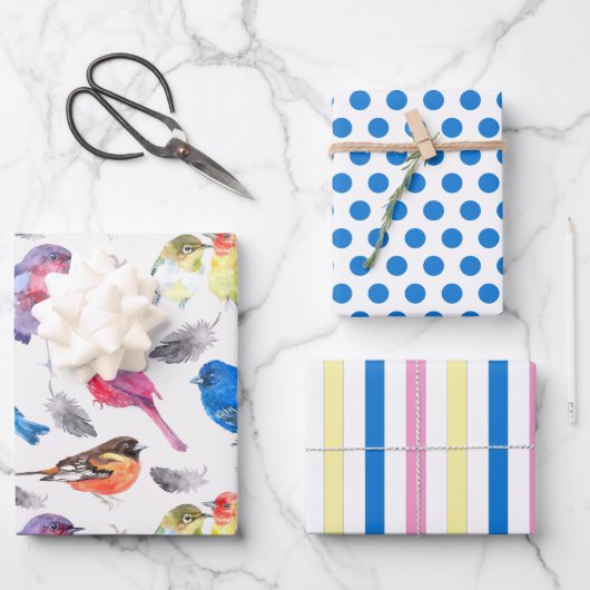 Colorful Birds Wrapping Paper Set (Voorkant)
