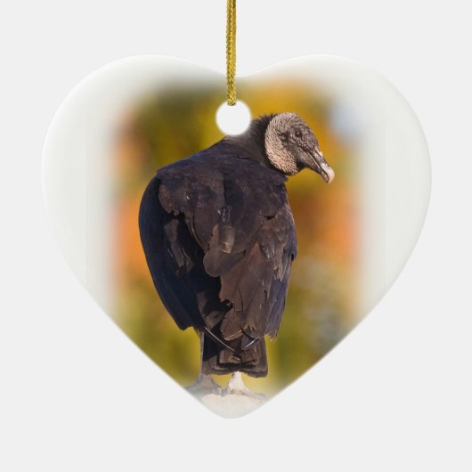 Colorful Black Vulture Keramisch Ornament (Achterkant)