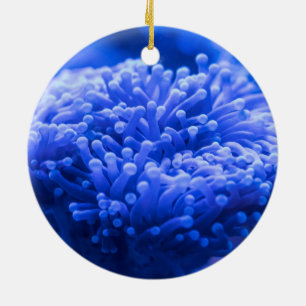 Colorful Blue Zee Anemone Marine Life Keramisch Ornament