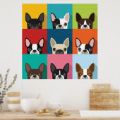 Colorful Boston Terriers Poster (Keuken)