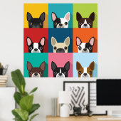 Colorful Boston Terriers Poster (Thuiskantoor)