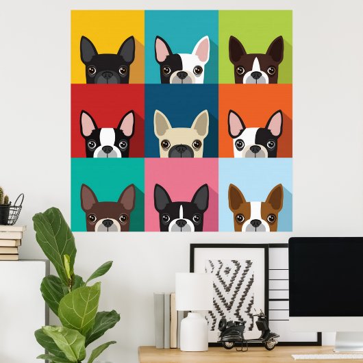 Colorful Boston Terriers Poster (Thuiskantoor)