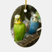 Colorful Budgie Bird Keramisch Ornament (Voorkant)