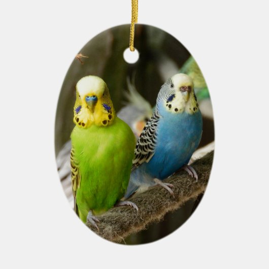 Colorful Budgie Bird Keramisch Ornament (Voorkant)