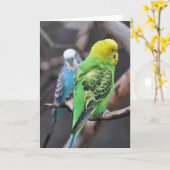 Colorful Budgies! - Frameable Art Card Kaart (Gele Bloem)