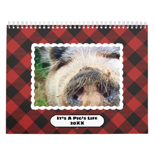 Colorful Buffalo Plaids Foto Kalender (Hoes)