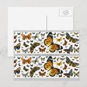 Colorful Butterflies Antiquarian Afbeelding Bladwi Briefkaart (Voorkant / Achterkant)