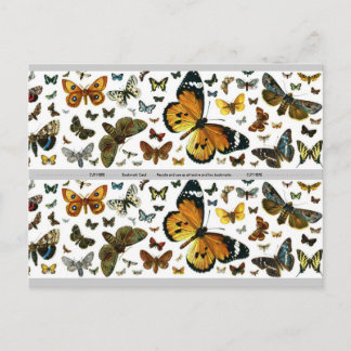 Colorful Butterflies Antiquarian Afbeelding Bladwi Briefkaart