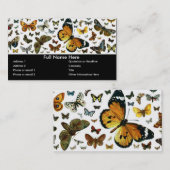 Colorful Butterflies Antiquarian Afbeelding Bladwi Visitekaartje (Voorkant / Achterkant)