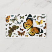Colorful Butterflies Antiquarian Afbeelding Bladwi Visitekaartje (Achterkant)