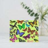Colorful Butterflies Briefkaart (Staand voorkant)