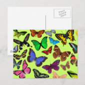 Colorful Butterflies Briefkaart (Voorkant / Achterkant)