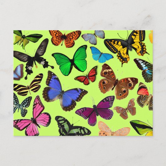 Colorful Butterflies Briefkaart (Voorkant)
